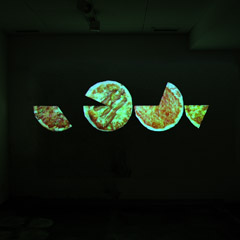 Untitled (New York, London, Moscow, Tokyo), slideshow projection( 24 hours) 2003