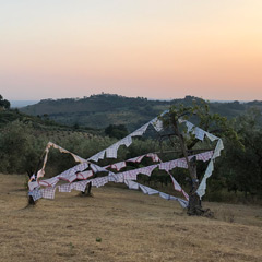 Agricola Due Leoni, Sabina, Italy, 2021,untitled, ca.1000x500x400cm, cotton, lashing straps, wood, 2021